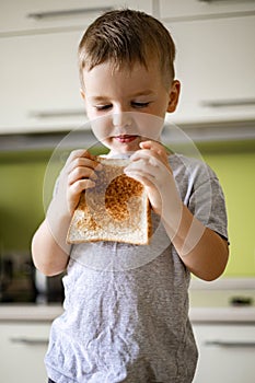 Portrait of baby boy eating fresh bread slice cooking breakfast with fruits and berries at cuisine