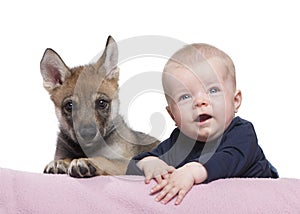 Portrait of baby boy with Young European wolf