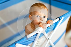 Portrait of baby in playpen