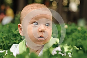 Portrait of a baby who is lying on green grass