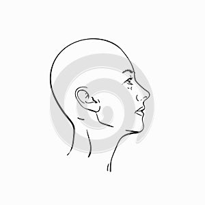 Portrait of bald headed woman in profile,