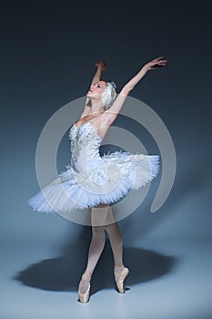 Portrait of the ballerina in ballet tatu on blue