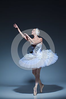 Portrait of the ballerina in ballet tatu on blue