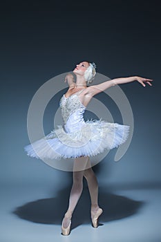 Portrait of the ballerina in ballet tatu on blue