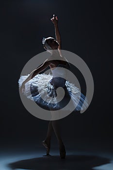 Portrait of the ballerina in ballet tatu on dack
