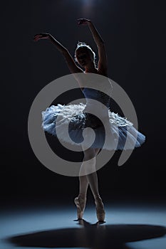 Portrait of the ballerina in ballet tatu on dack