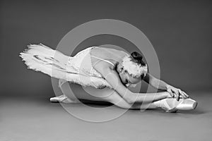 Portrait of ballerina in tutu and pointe shoes making a beautiful pose. Black and white photography. Graceful ballet dancer or