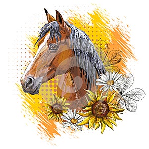 Portrait of a bay horse and flowers vector illustration isolated