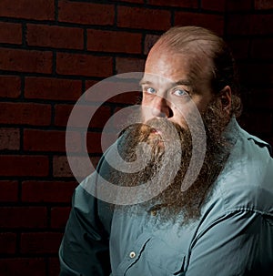 Portrait of a bearded, balding middle aged man