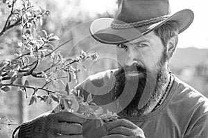 Portrait of bearded farmer. Grafting branches. Professional Gardener at Work - close up portrait.