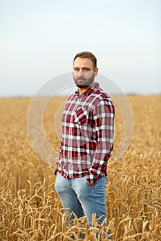 Portrait of a bearded farmer standing in a wheat field. Stilish hipster man with trucker hat and checkered shirt on