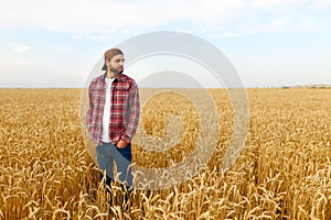 Portrait of a bearded farmer standing in a wheat field. Stilish hipster man with trucker hat and checkered shirt on