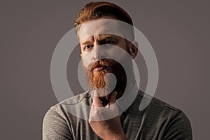 Portrait of bearded man stroking beard. Unshaven man with serious face. Irish man studio