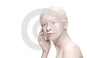 Portrait of beautiful albino woman isolated on white studio background. Beauty, fashion, skincare, cosmetics concept.
