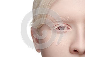 Portrait of beautiful albino woman isolated on white studio background. Beauty, fashion, skincare, cosmetics concept.