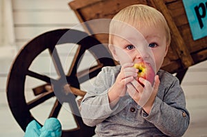 Portrait of beautiful baby boy eating apple