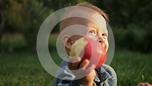 Portrait of beautiful baby boy eating apple on the lawn