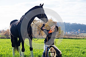 Portrait of beautiful black horse  with his owner and rider  posing in green grass meadow. autumn season