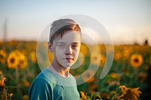 Portrait of beautiful blond kid boy on summer sunflower field
