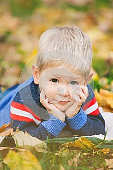 Portrait of beautiful blond offspring laying on autumn leaves ou