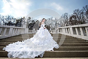 Portrait of the beautiful bride weddin.