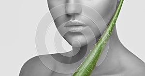 Portrait of a beautiful brunette woman with green aloe vera leaf, with naked shoulders, with healthy clean skin and fresh make-up