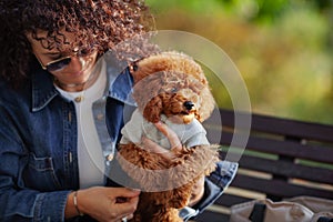 Portrait of beautiful curly haired woman holds small dog Dwarf poodle in arms, while sitting in autumn park. Puppy