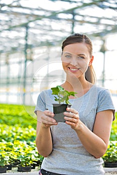Beautiful female botanist holding seedling in plant nursery photo