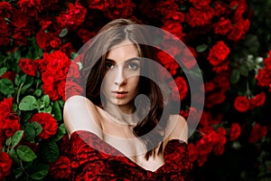 Portrait of a beautiful girl among the bush of the red rose