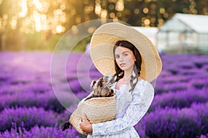Portrait of a beautiful girl with a dog in a basket on a background of lavender. She`s wearing a white dress and a big hat