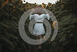 Portrait of a beautiful girl in a field of sunflowers. Warm summer shot of a girl in the field