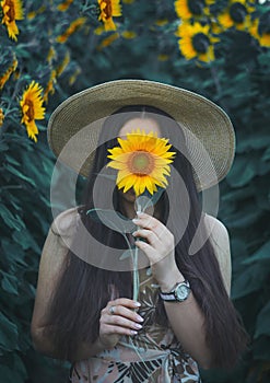 Portrait of a beautiful girl in a field of sunflowers. Warm summer shot of a girl in the field