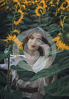 Portrait of a beautiful girl in a field of sunflowers. Warm summer shot of a girl in the field