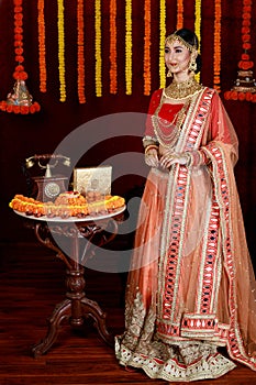 Portrait of beautiful Indian girl. She is wearing Traditional Indian costume. Indian lifestyle and Diwali celebration concept with