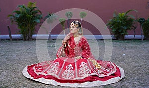 Portrait of beautiful Indian Punjabi bride.