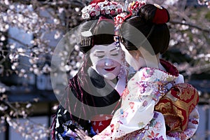 Portrait of beautiful lady in Maiko kimono dress