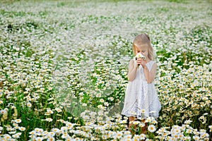 Portrait of a beautiful little girl with blonde hair and blue eyes in a white summer dress on a field. A child in a flowery meadow