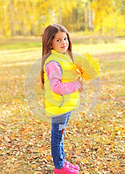 Portrait beautiful little girl child with yellow maple leafs in autumn