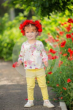 Portrait of a beautiful little girl having fun in field of red poppy flowers in spring.
