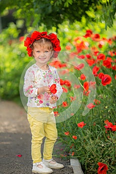 Portrait of a beautiful little girl having fun in field of red poppy flowers in spring.