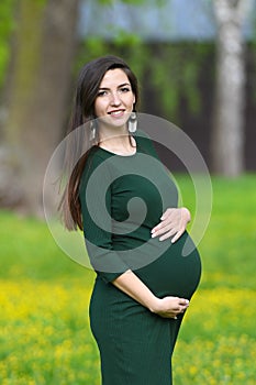 Portrait of a beautiful pregnant brunette. Young beautiful pregnant woman with long dark hair