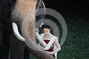 Portrait of Beautiful rural thai woman wear thai dress with elephant in Chiang Mai