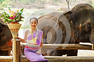 Portrait of Beautiful rural thai woman wear Thai northern traditional dress acting for phot shoot with Asian elephant on blurred