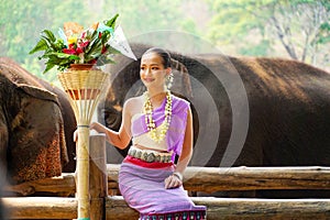 Portrait of Beautiful rural thai woman wear Thai northern traditional dress acting for phot shoot with Asian elephant on blurred