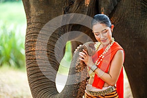 Portrait of Beautiful rural Thai woman wear Thai northern traditional dress for phot shoot with trunk of Asian elephant on blurred