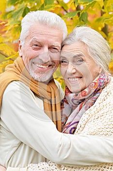 Portrait of beautiful senior couple hugging in the park