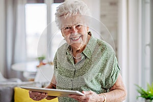 Portrait of beautiful senior lady with tablet in hands at home.