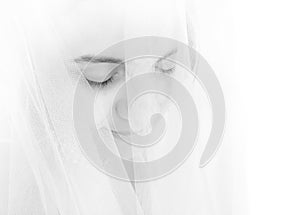 Portrait of beautiful, shy bride