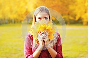 Portrait beautiful smiling woman hides her face yellow maple leafs in sunny autumn