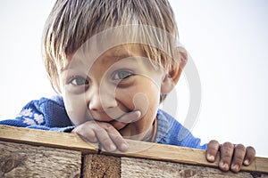 Portrait of a beautiful two year old child with sly, smiling eyes. A boy with blond hair is looking at the camera.